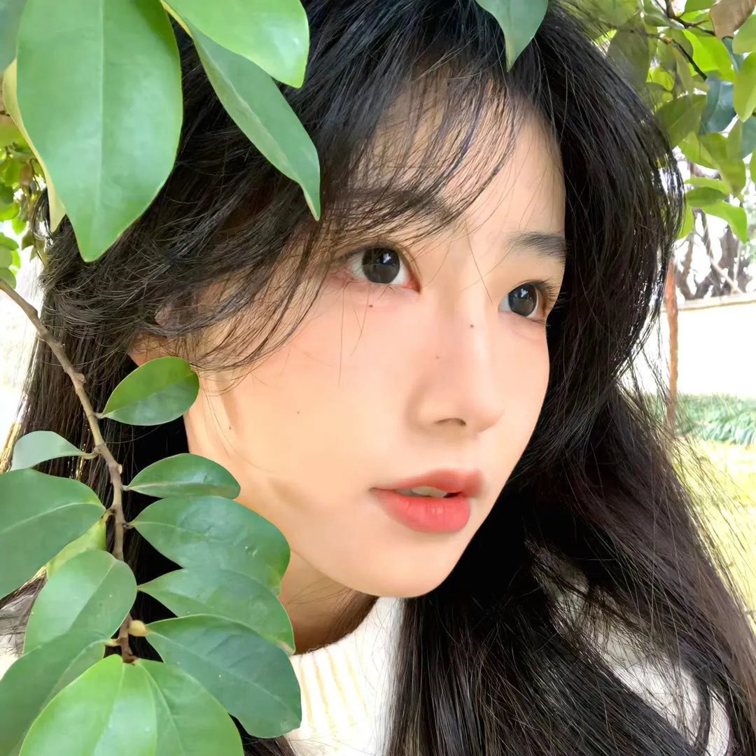 假日之心