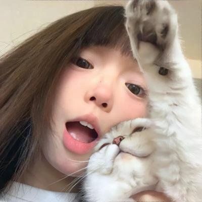 鲨海